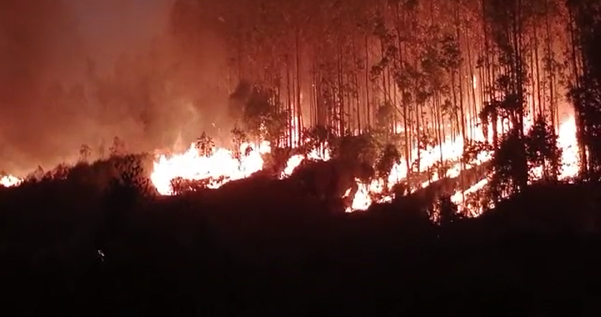 Decretan toque de queda en Coronel: incendio forestal superó las 4 mil hectáreas afectadas
