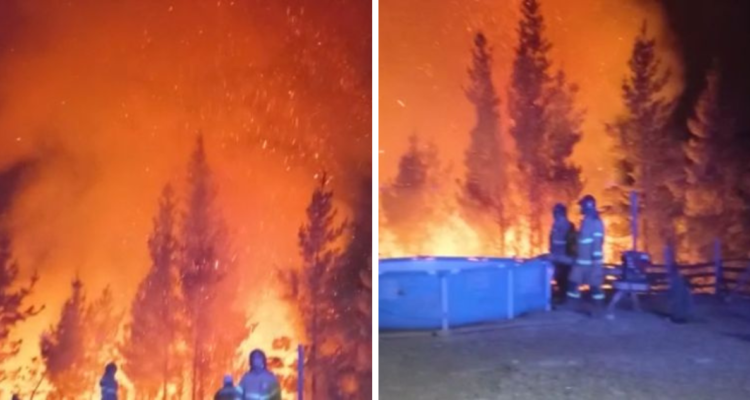 Incendio forestal en Florida