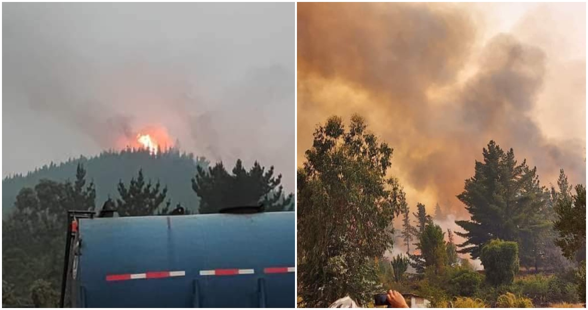 Incendio forestal en cerro Coiquén