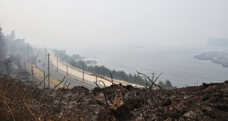 Incendio forestal Nonguén