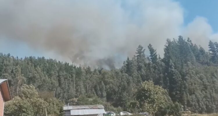 Incendio forestal en Purén