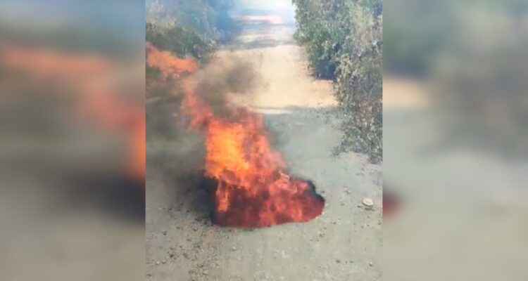 Incendio forestal en sector Santa Ana en Quillón