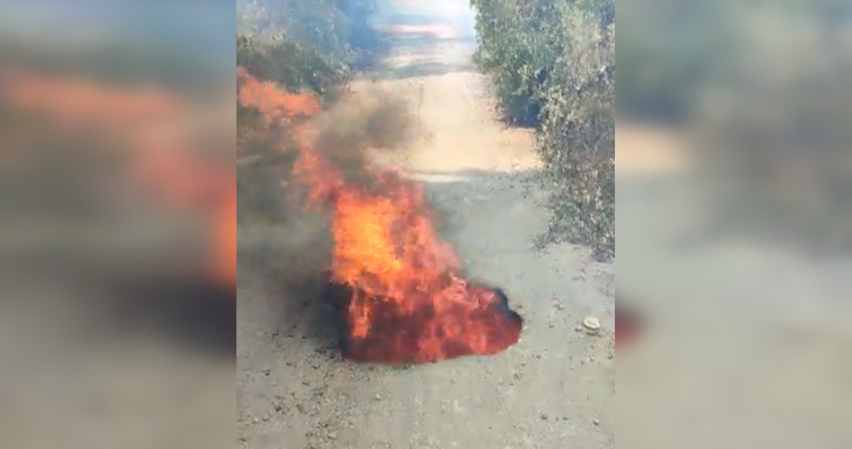 Incendio forestal en sector Santa Ana en Quillón