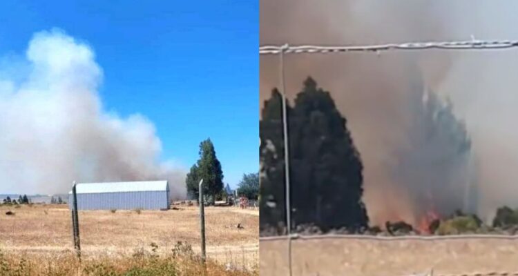 Incendio forestal fuera de control en Chillan Viejo amenaza a viviendas del sector Rucapequén