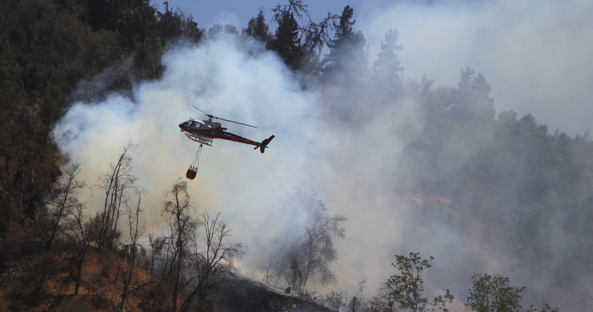 Combaten incendio forestal en el cerro San Cristóbal: denuncian que fuego sería intencional