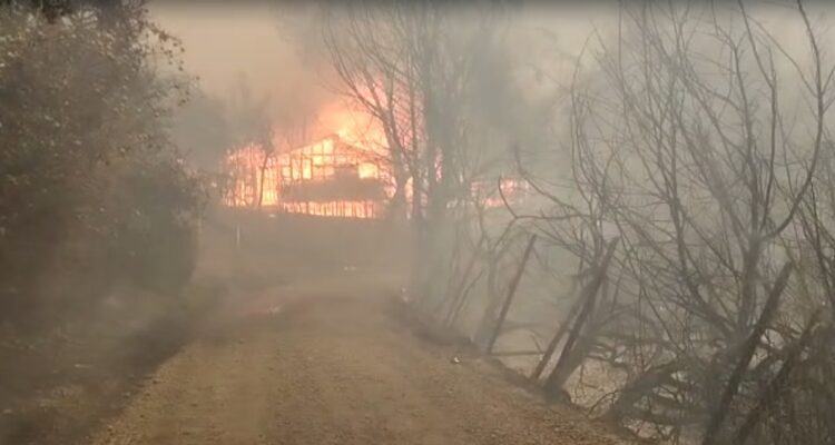 Incendio forestal en San Ramón Alto