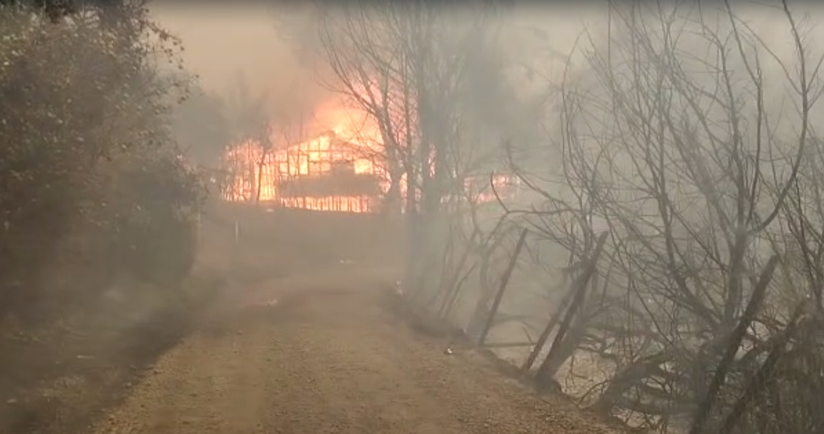 Incendio forestal en San Ramón Alto