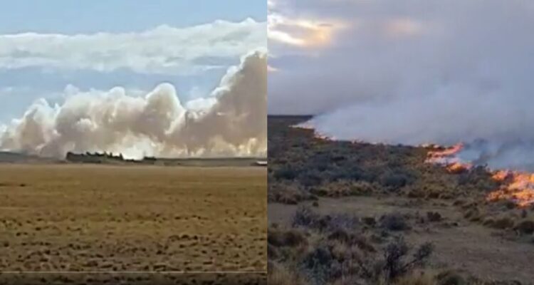 Aumentan a 1.500 las hectáreas consumidas por incendio en Tierra del Fuego