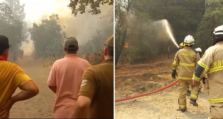 Incendio forestal se reactiva en Yumbel: fuego está a solo metros de viviendas