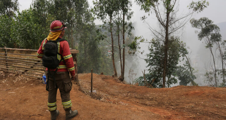 Brigadista de la CONAF, acompañado de varios voluntarios, luego de ayudar a limpiar plantas secas para evitar la propagación del incendio.