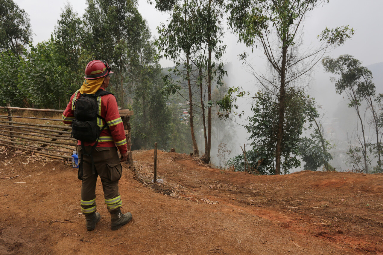 Brigadista de la CONAF, acompañado de varios voluntarios, luego de ayudar a limpiar plantas secas para evitar la propagación del incendio.