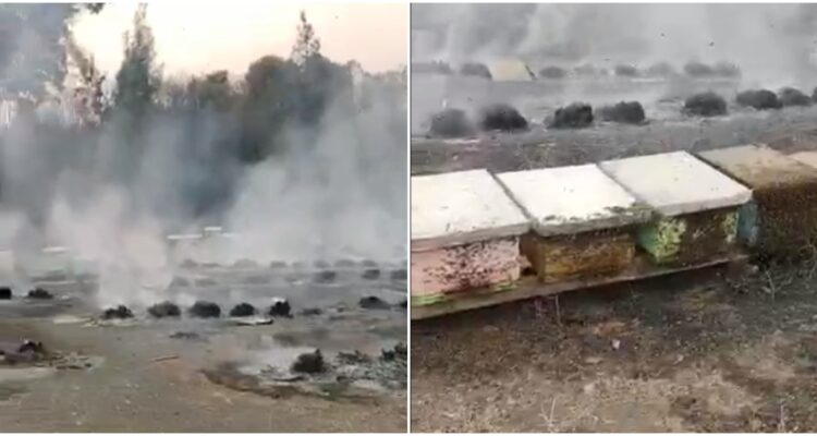 Incendio quema colmenas en Cabrero