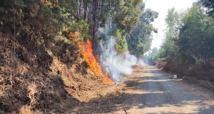 incendio Ruta de Madera