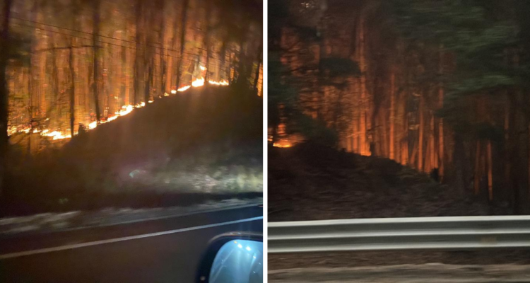 Incendio en Ruta de La Madera en Santa Juana