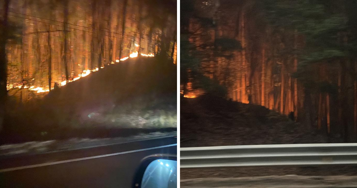 Incendio en Ruta de La Madera en Santa Juana