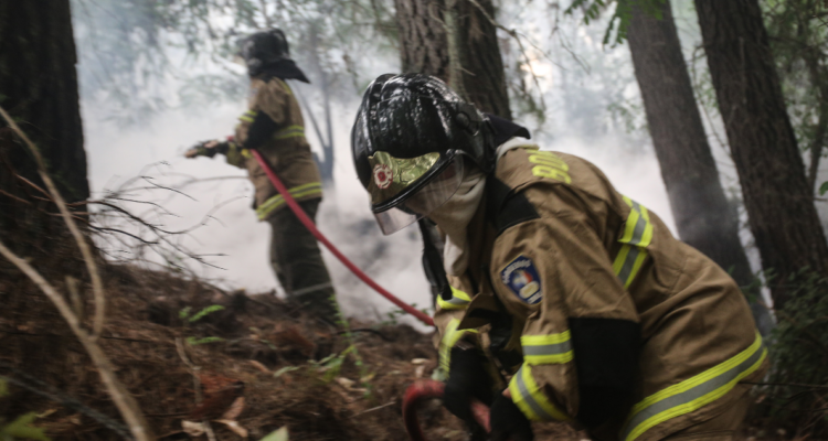 incendio forestal Temuco Lautaro