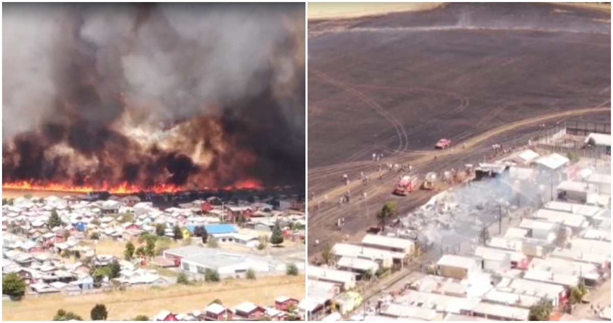 Incendio en plantación de trigo y afectación a viviendas en Vilcún
