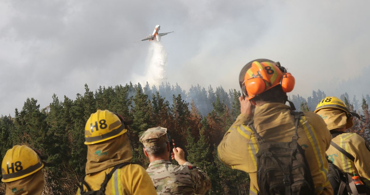Incendios en combate bajan a 21: hay 458 mil hectáreas consumidas y 20 mil animales muertos