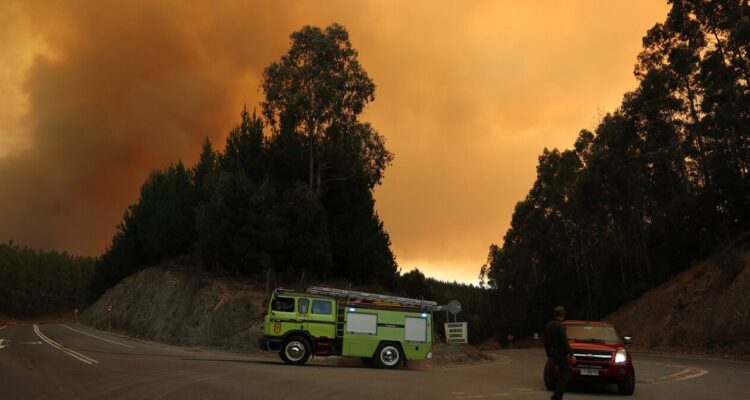 Incendios forestales que afecta la zona de Patahual.