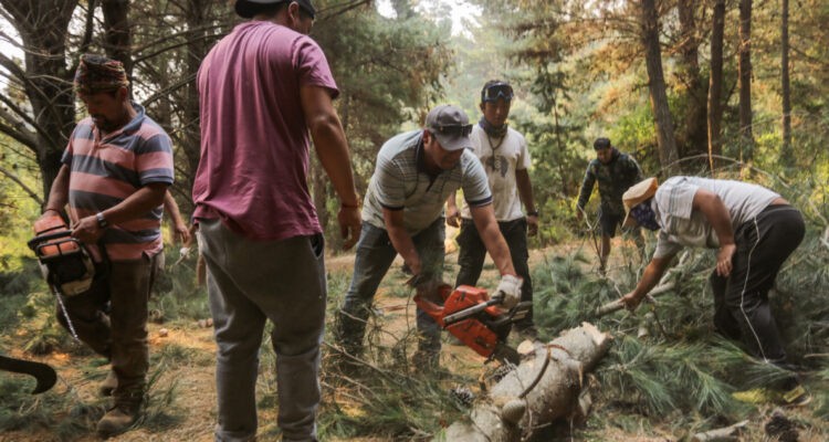 Incendios forestales denuncian que personas no quieren cortafuegos en sus terrenos