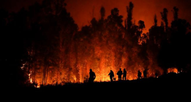 Incendios forestales en Chile