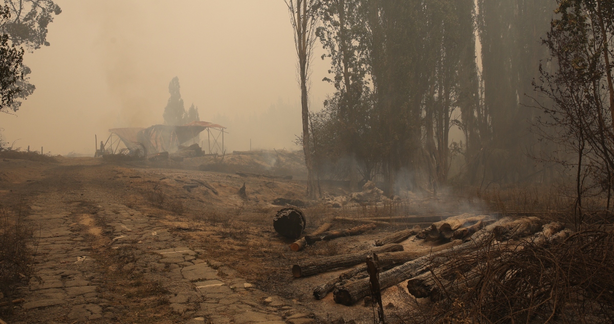 Incendios forestales muertos en Bío Bío, Ñuble y La Araucanía