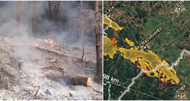 incendios forestales en Nacimiento