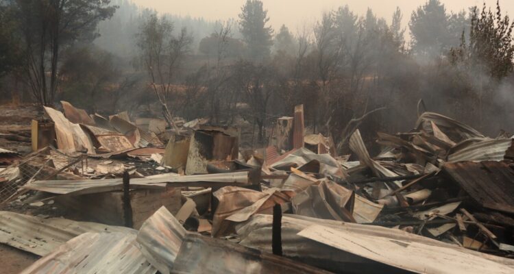 De Santa Juana son las nuevas víctimas fatales por incendios en el Bío Bío: región suma 16 víctimas