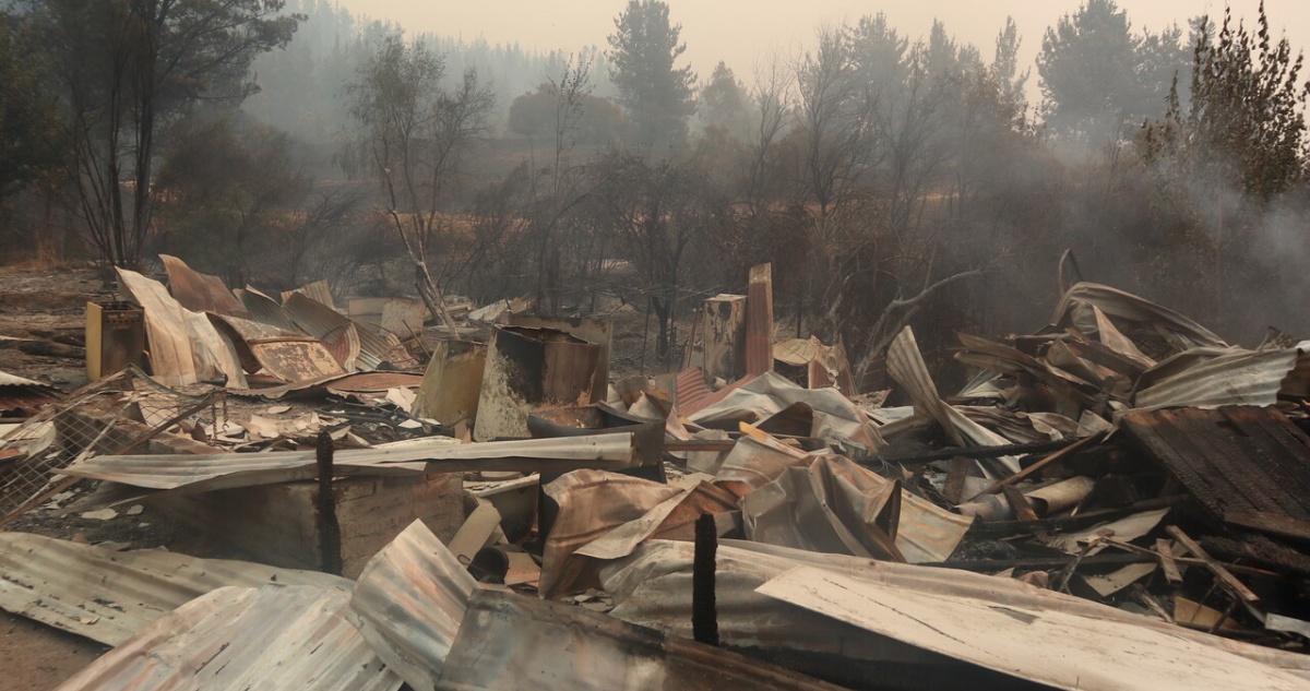 De Santa Juana son las nuevas víctimas fatales por incendios en el Bío Bío: región suma 16 víctimas