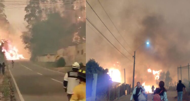 Incendios forestales en Tomé dejan más de 200 hogares damnificados y 13.000 hectáreas arrasadas