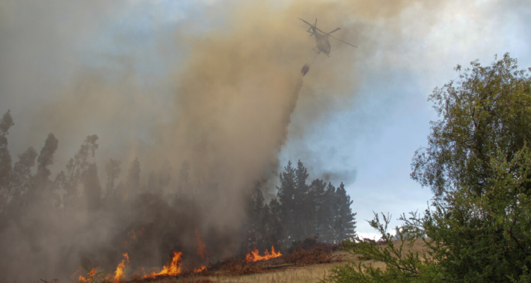 Reportan 6 incendios forestales con peligro de propagación a viviendas en La Araucanía