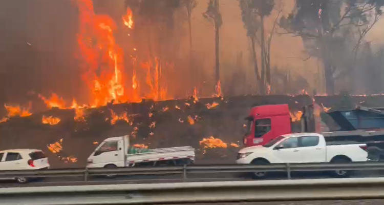Nuevos incendios y reactivación de focos en La Araucanía: hay personas lesionadas y viviendas dañadas