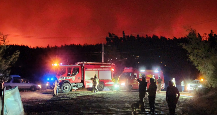 Incendios en Ñuble y Bío Bío suman más de 7.000 hectáreas consumidas y una región en Alerta Roja
