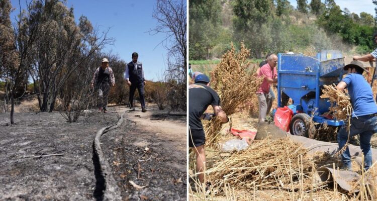 Indap pide suspender faenas agrícolas ante ola de calor en el sur