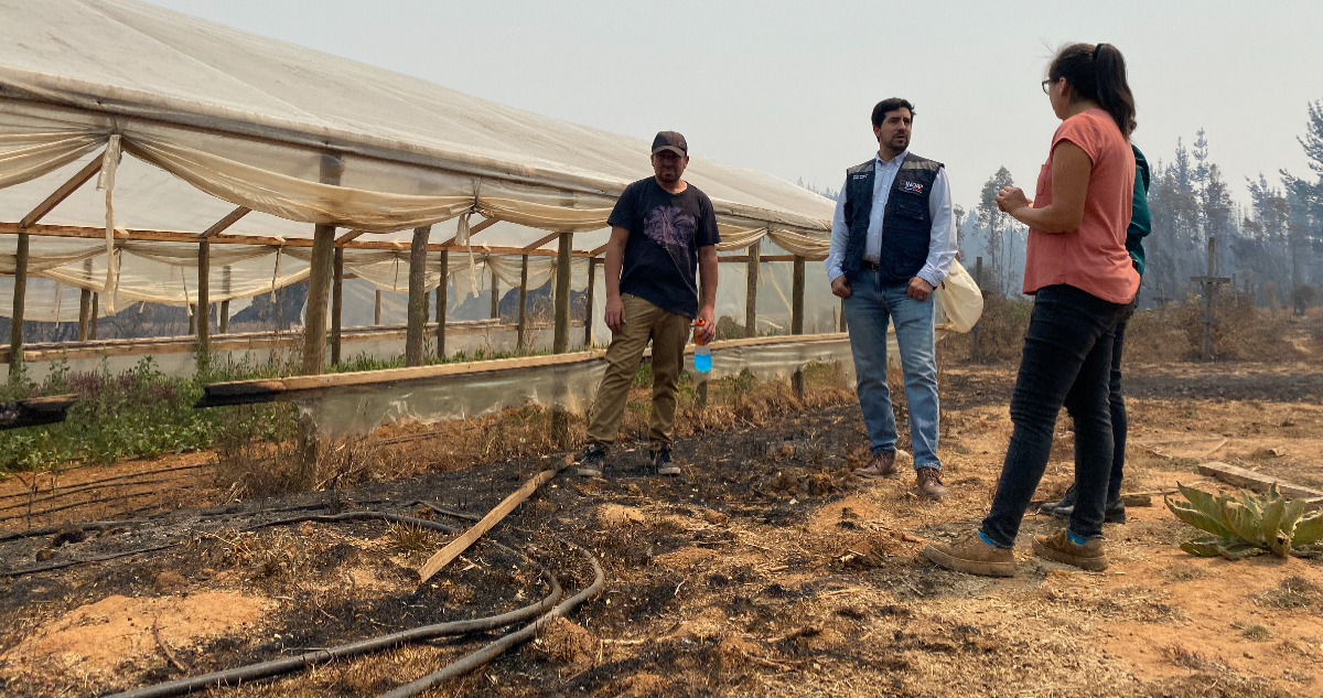 Indap pide a usuarios con seguro agropecuario hacer los denuncios