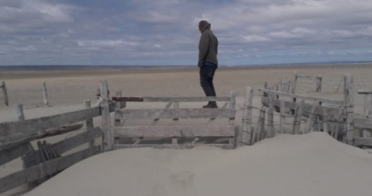 El dramático descenso del agua en la Laguna Blanca en medio de grave sequía en Magallanes