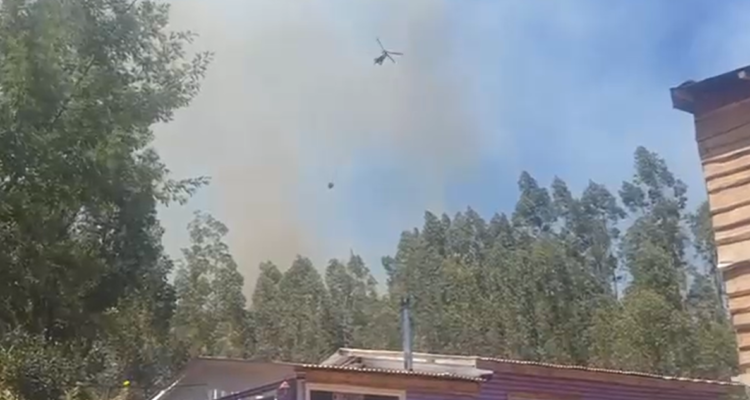 Fuego por incendio forestal en Dichato se acerca a viviendas: llamas avanzaron 100 metros en una hora