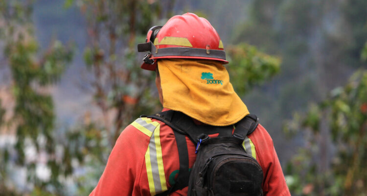 Incendio forestal mantiene en Alerta Roja la comuna de Mariquina: ordenaron evacuación de turistas
