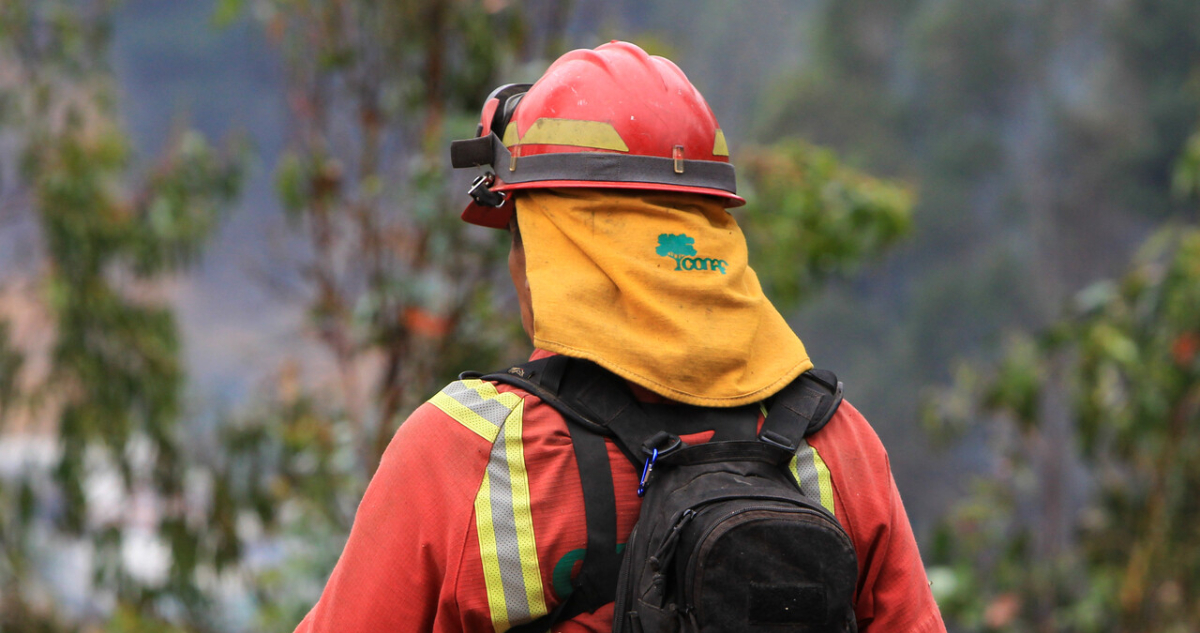 Incendio forestal mantiene en Alerta Roja la comuna de Mariquina: ordenaron evacuación de turistas