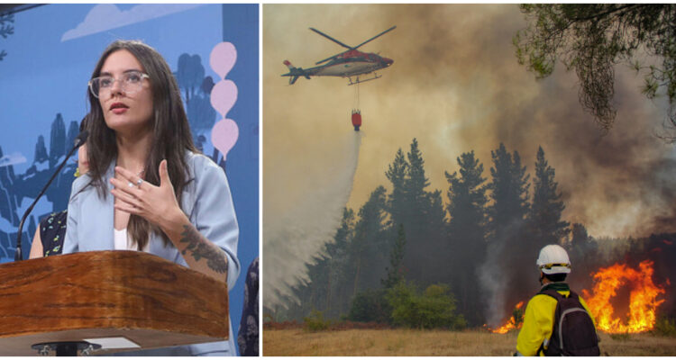 Gobierno estima que total extinción de los incendios forestales podría ocurrir a mediados de marzo
