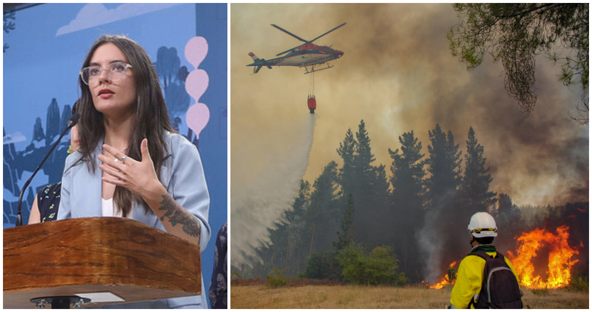 Gobierno estima que total extinción de los incendios forestales podría ocurrir a mediados de marzo