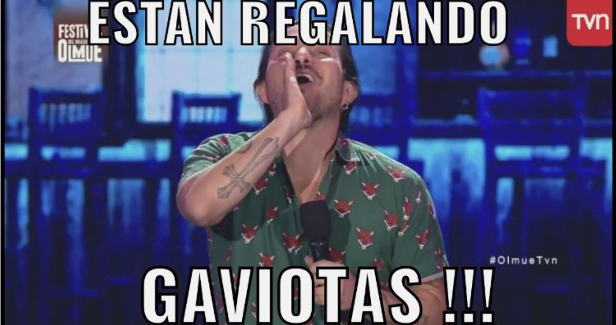 “¡Están regalando gaviotas!”: los lapidarios memes contra la rutina de Belén Mora