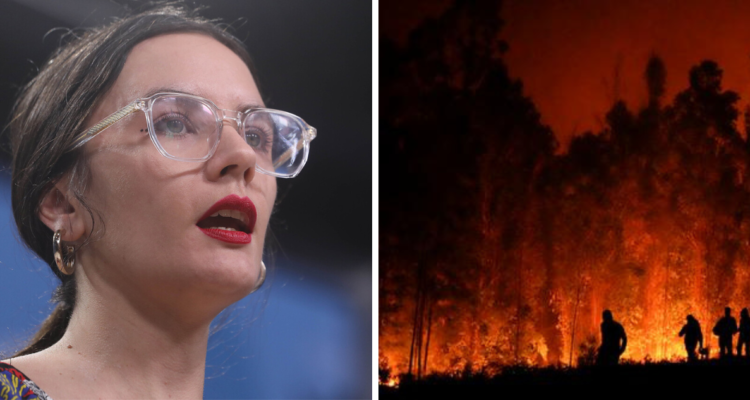 Ministra Vallejos se refiere a incendios forestales