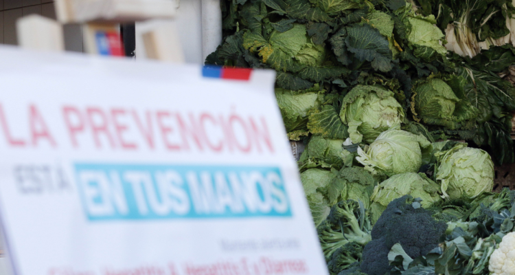 Cólera: Minsal refuerza medidas preventivas para evitar casos ante brotes en Haití y Rep. Dominicana