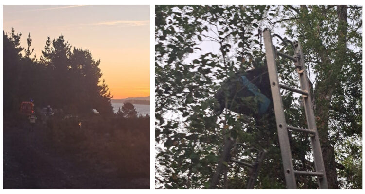 Accidente en parapente en Lican Ray,