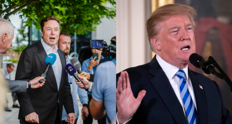 Elon Musk (izquierda) y Donald Trump (derecha) en referencia a estudio que afirma que los hombres más ricos no son inteligentes