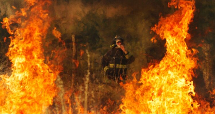 Gremios acusan “negacionismo” del Gobierno por intencionalidad de incendios tras polémica por cifras