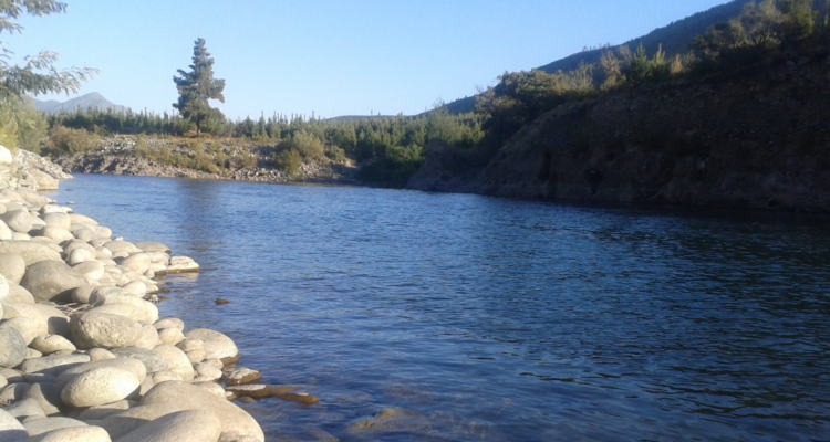 Niño de 6 años muere ahogado en el río Ñuble, a la altura de Cachapoal en San Carlos