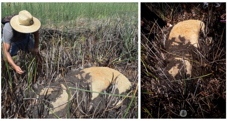 Fotografías del moai semisepultado,