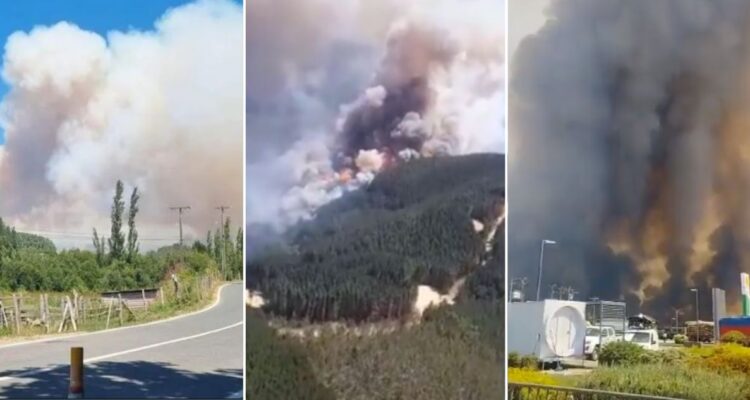 Ordenan evacuar dos sectores del Bío Bío y uno de La Araucanía por amenaza de incendios forestales